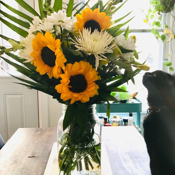 Meet your Posher, Trina - Picture 1 of 1